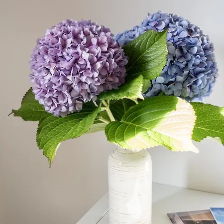 Arena - El Silencio Διαμέρισμα *